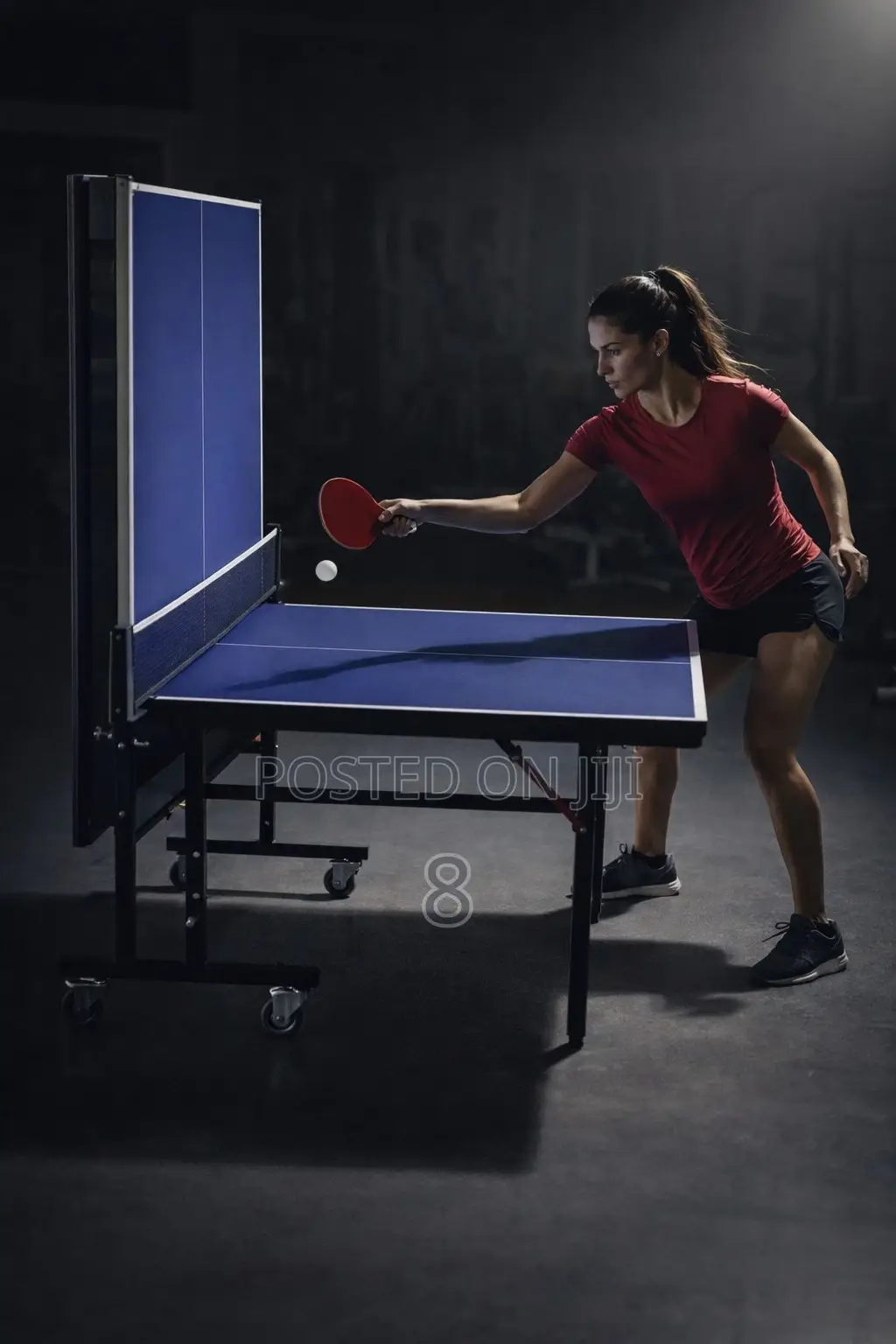 Long Lasting Table Tennis Table