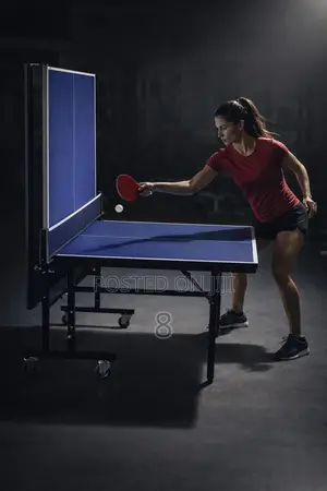 Long Lasting Table Tennis Table