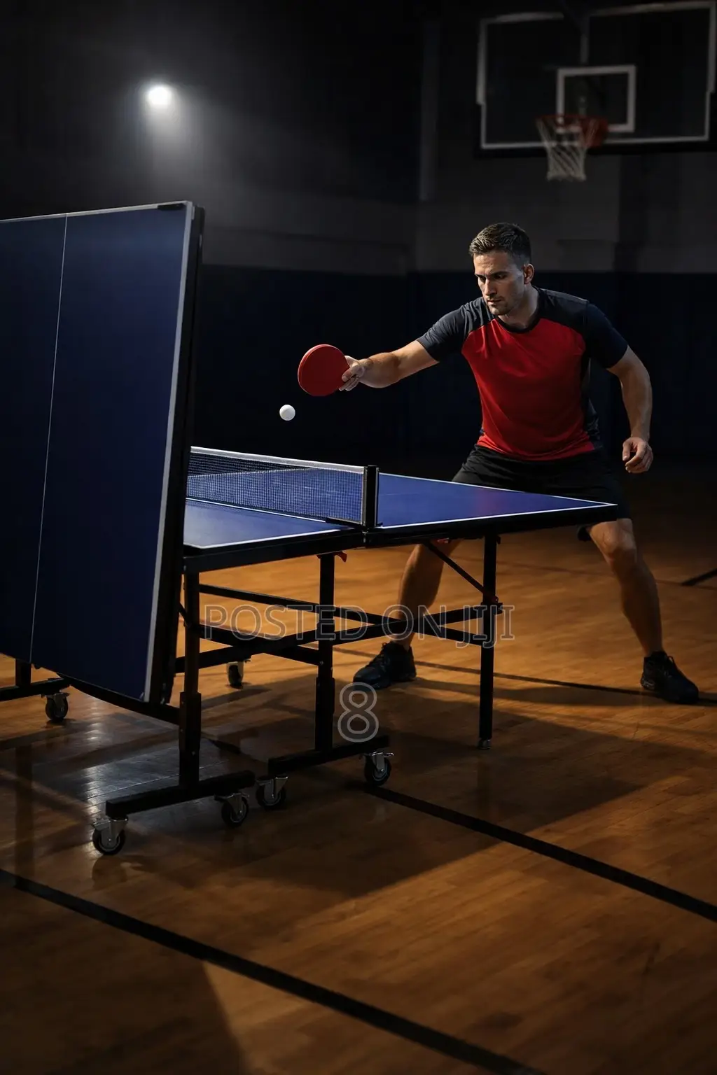 Pro Level Table Tennis Table