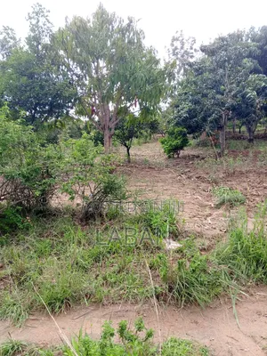 Makuyu Mananja