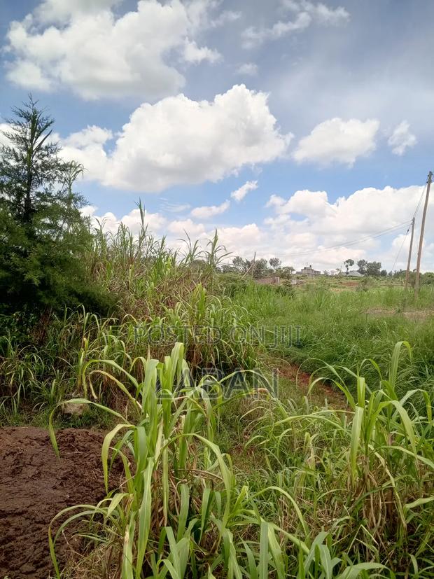 Mugutha 1/4acre