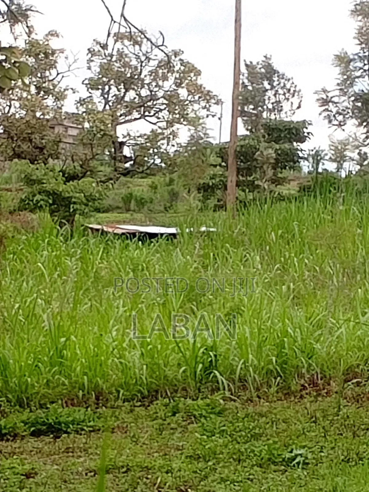 Mugutha 1/4acre