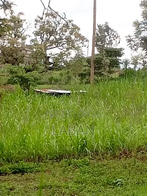 Mugutha 1/4acre