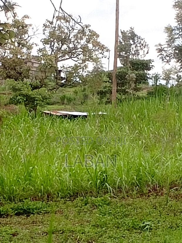 Mugutha 1/4acre - thumbnail 2