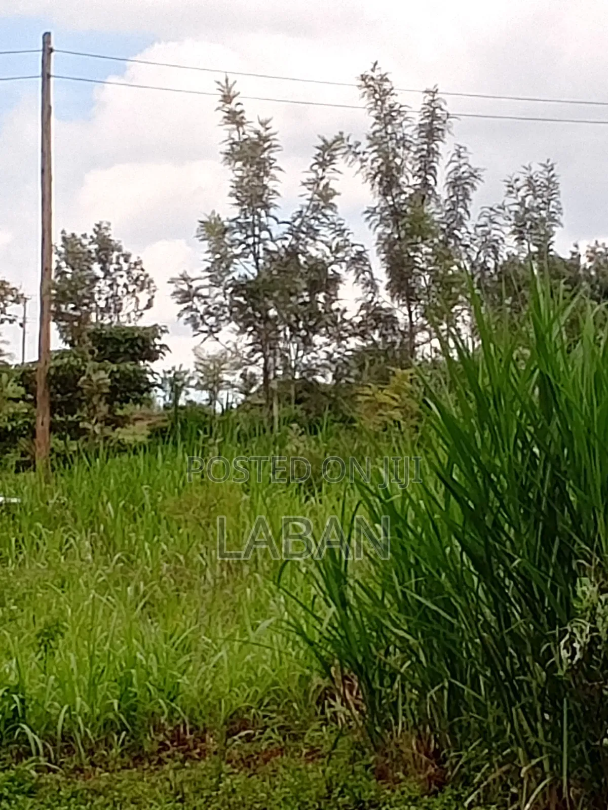 Mugutha 1/4acre