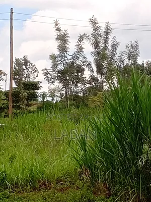 Mugutha 1/4acre