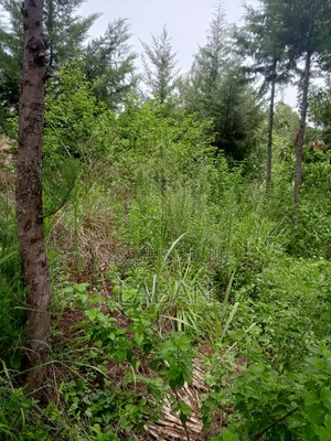 Mugutha 1/4acre