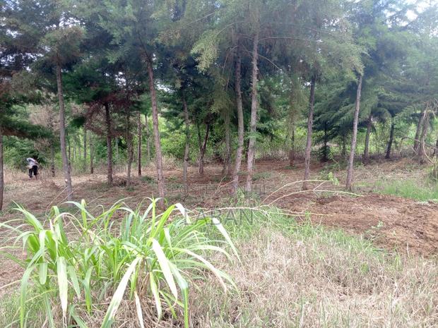 Mugutha 1/4acre - thumbnail 6