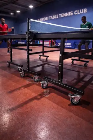 Space Saving Indoor Tennis Table