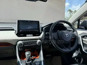Toyota RAV4 XLE Premium AWD 2019 Gray