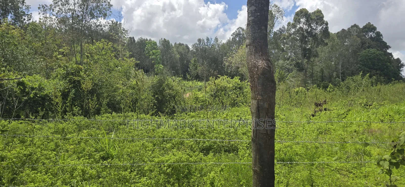 Half an Acre for Sale Mua Hills
