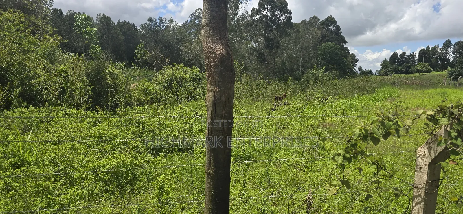 Half an Acre for Sale Mua Hills