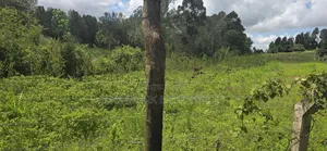 Half an Acre for Sale Mua Hills