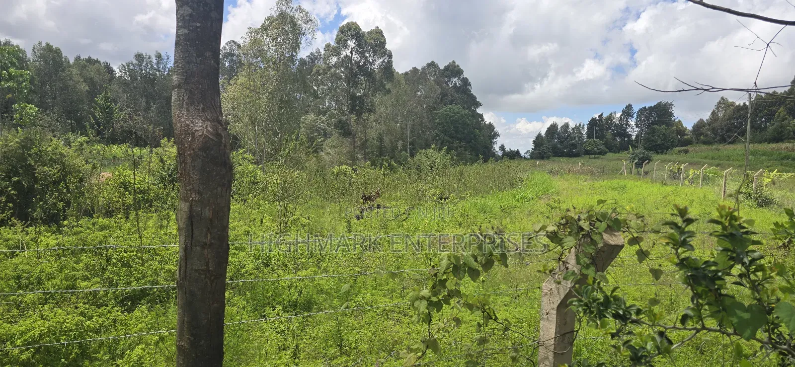 Half an Acre for Sale Mua Hills