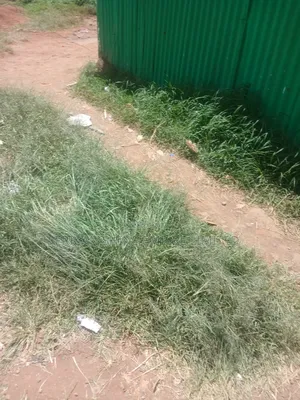 1/2 Prime Land for Lease in Uthiru