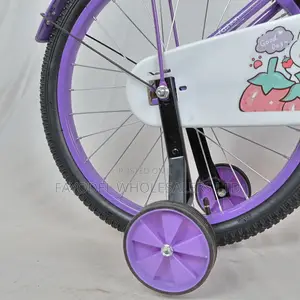 20-Inch Xingjqi Children’S Bicycle (Purple)