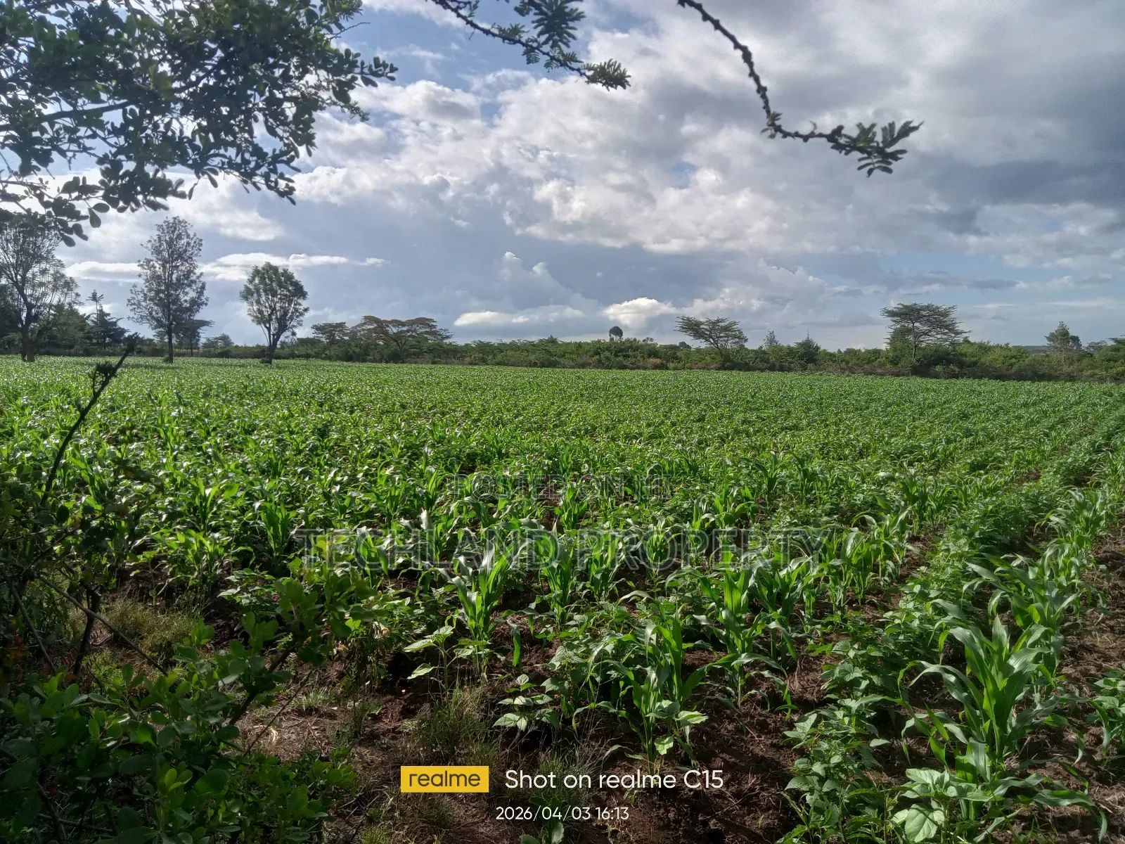 100 Acres Laikipia Central.