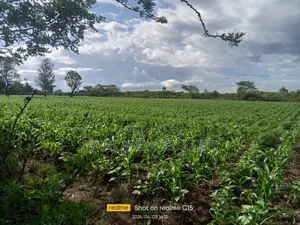 100 Acres Laikipia Central.