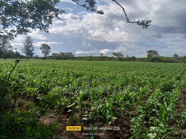 4acres Hiriga Mathira Nyeri.