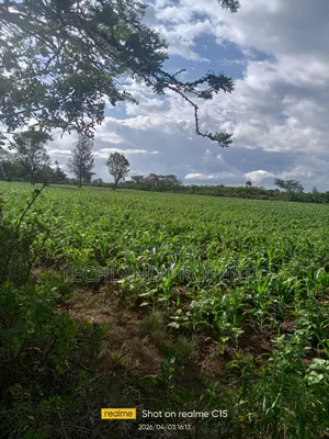 100 Acres Laikipia Central.