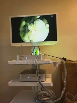 Kingsea Laparoscope
