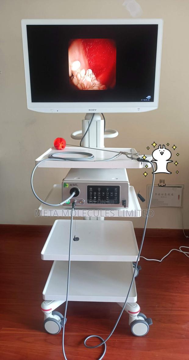 MML All-in-One Endoscope Machine