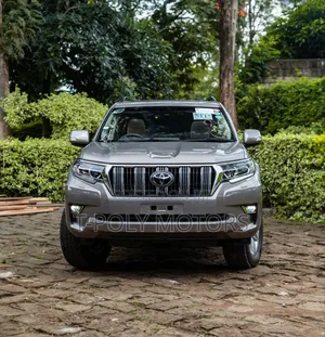 Toyota Land Cruiser Prado 2019 Gray