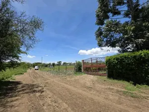 50*100plots in Nakuru Kongasis