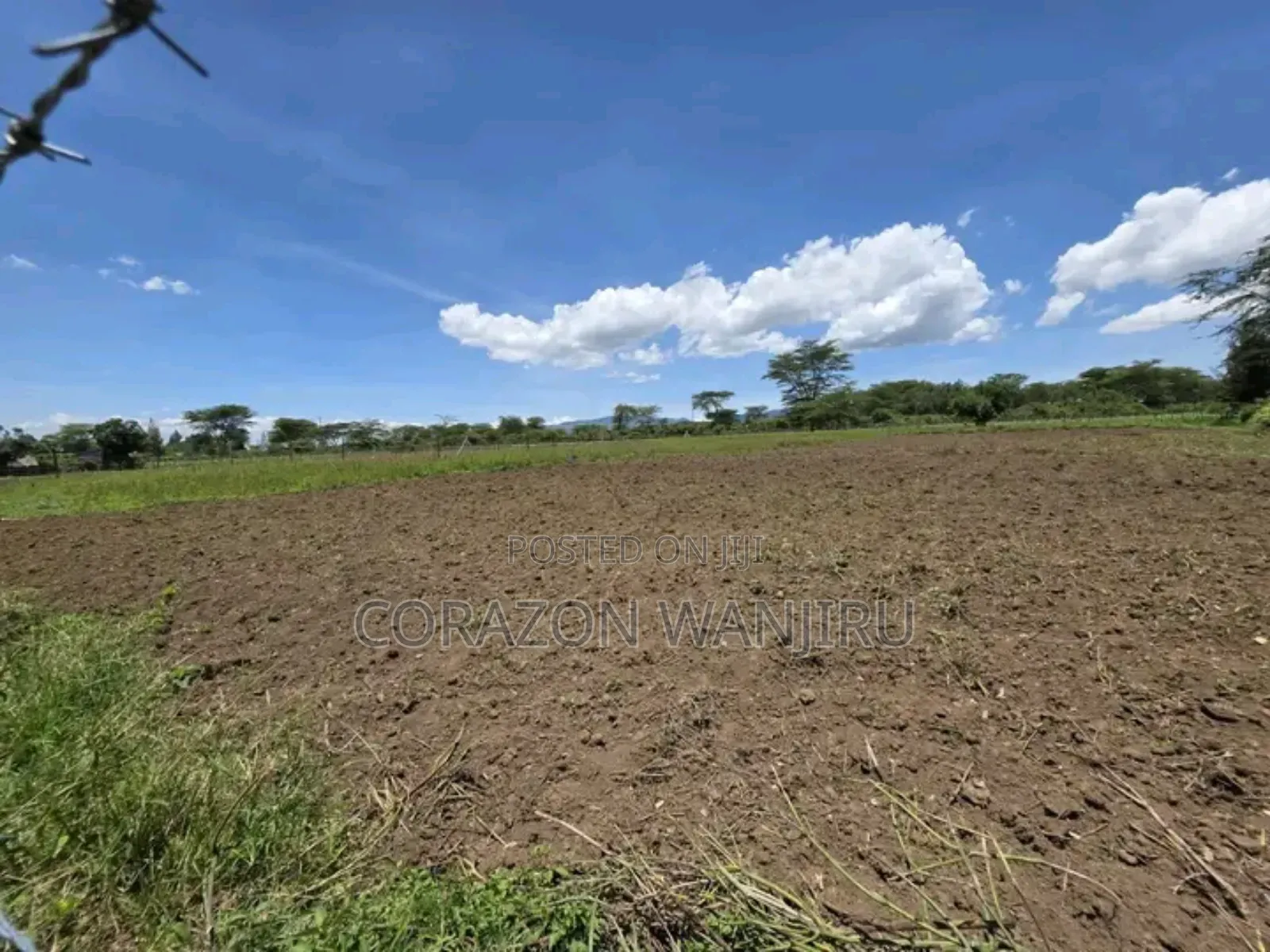 50*100plots in Nakuru Kongasis