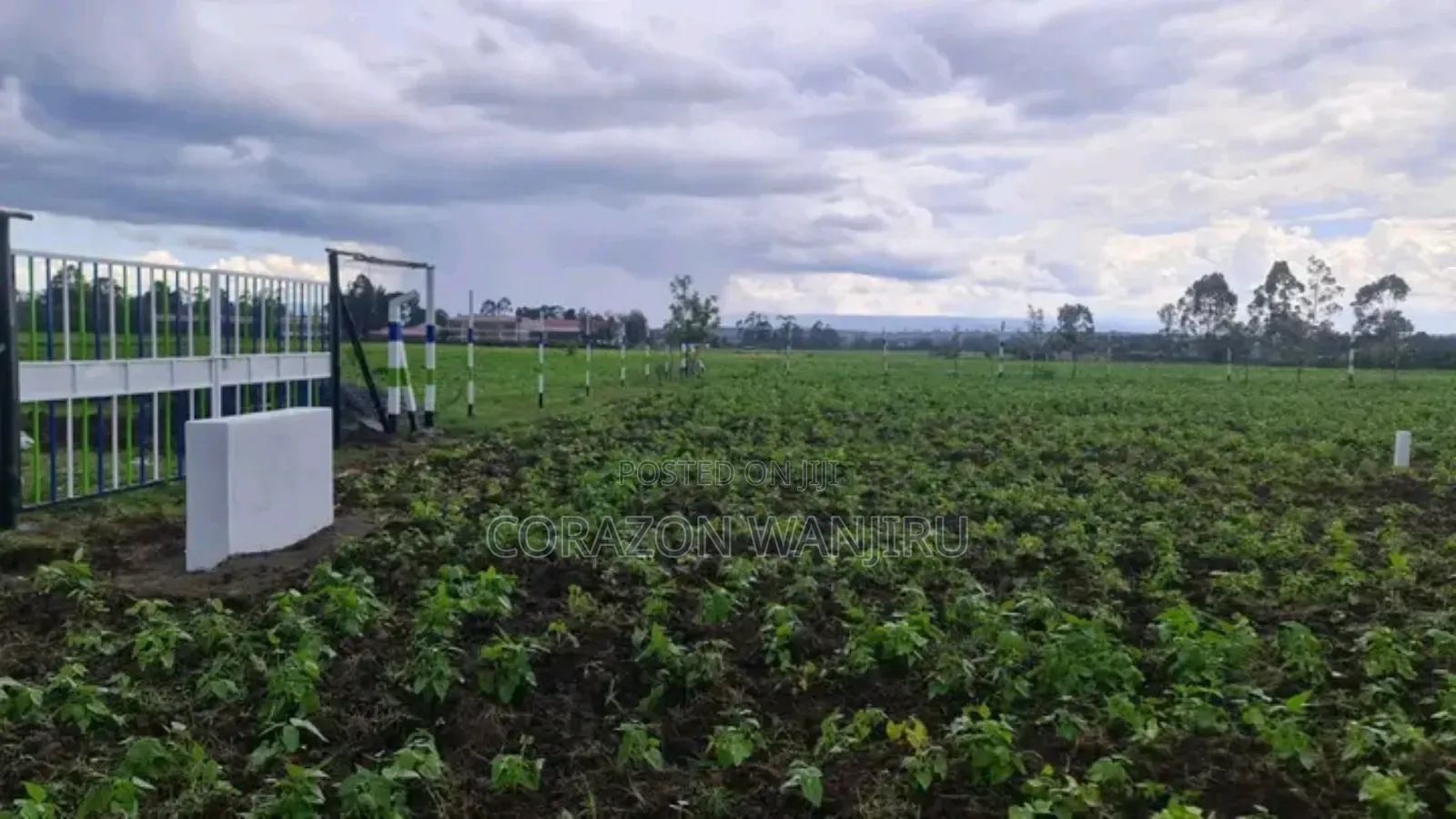 50*100plots in Nakuru,Just After Greensteads