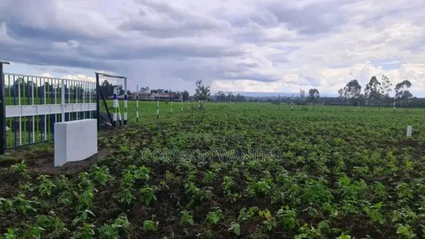 50*100plots in Nakuru,Just After Greensteads - thumbnail 2