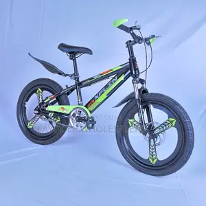 Xflin Brand Green Black Bike-Size 20