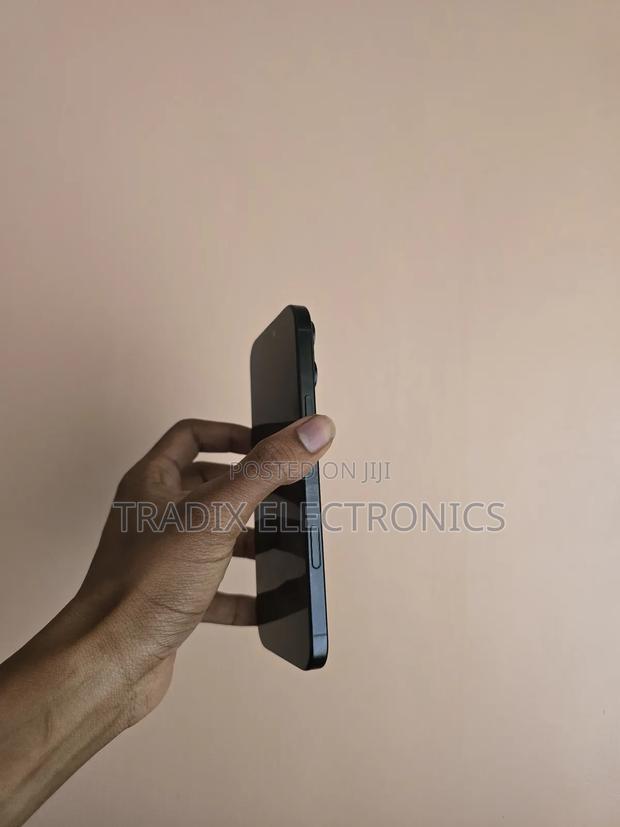 Apple iPhone 16 Pro Max 256 GB Black - thumbnail 7