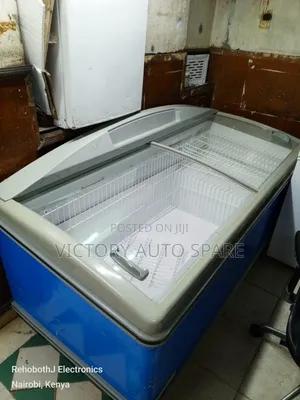 Display Freezer Commercial Big Size