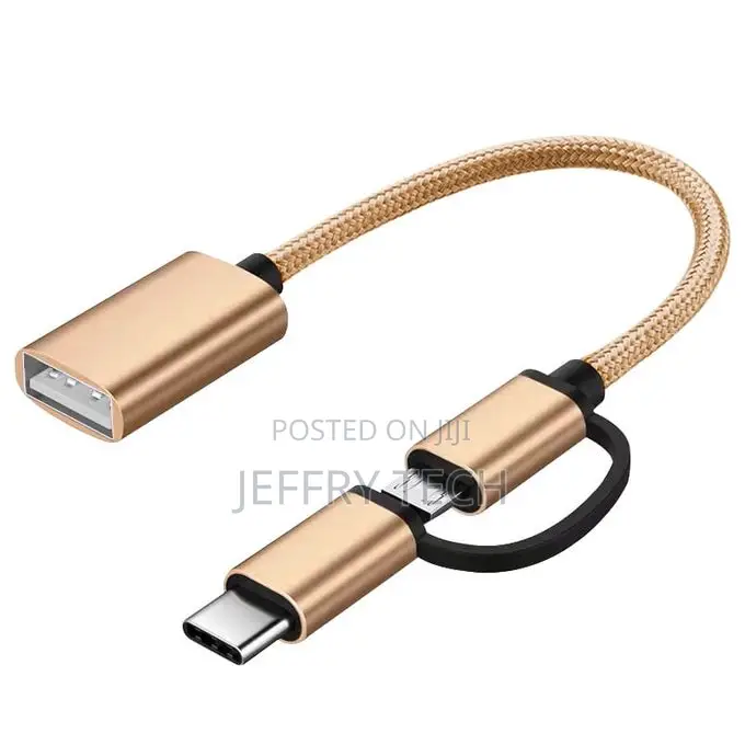 2-in-1 Otg Cable - Type-C + Micro Usb - Gold