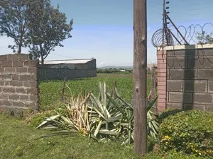 100x100 Plot