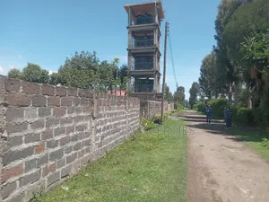 100x100 Plot
