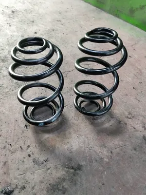 Probox Old Model Rear Coil Sy