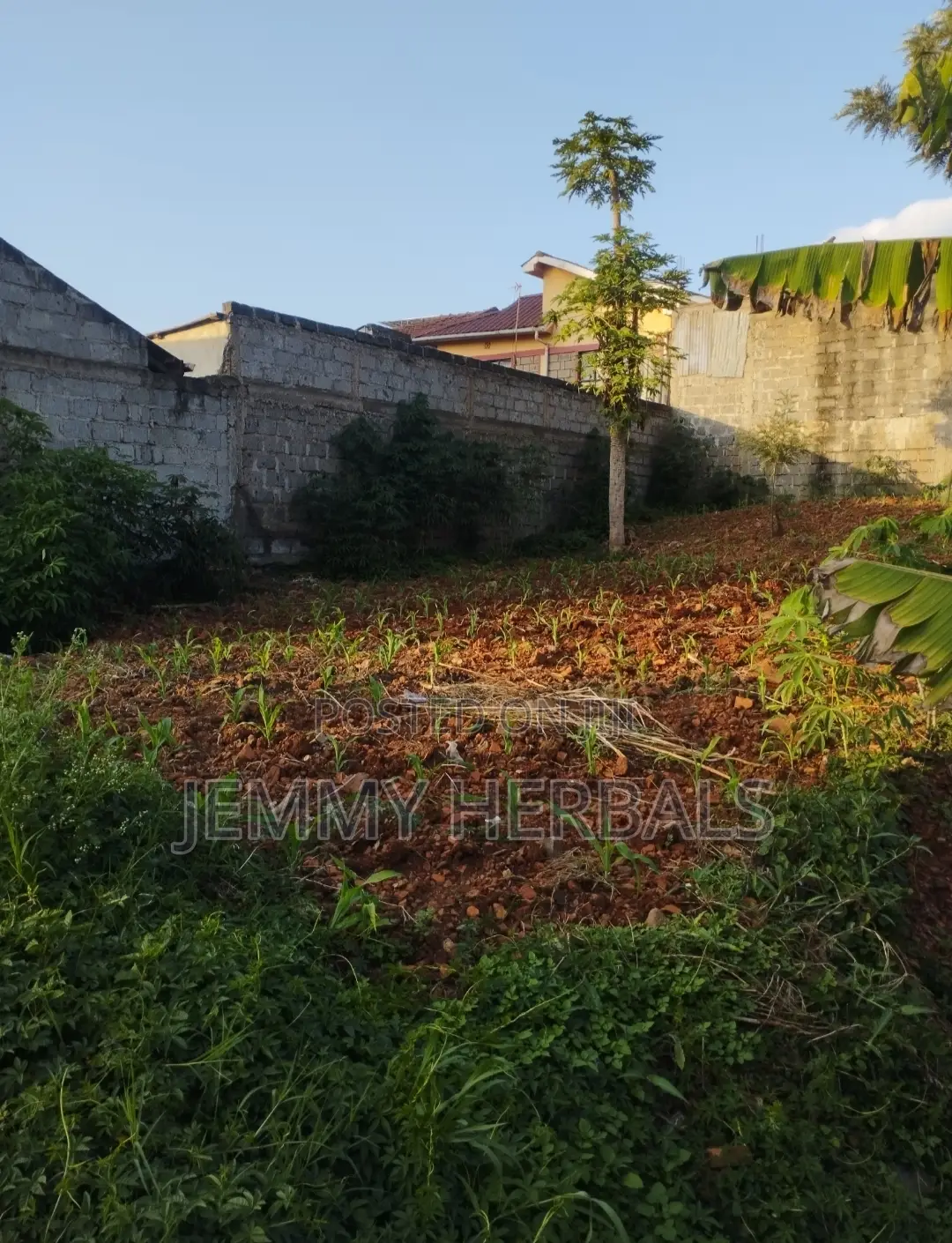 Kasarani Claycity 33by70