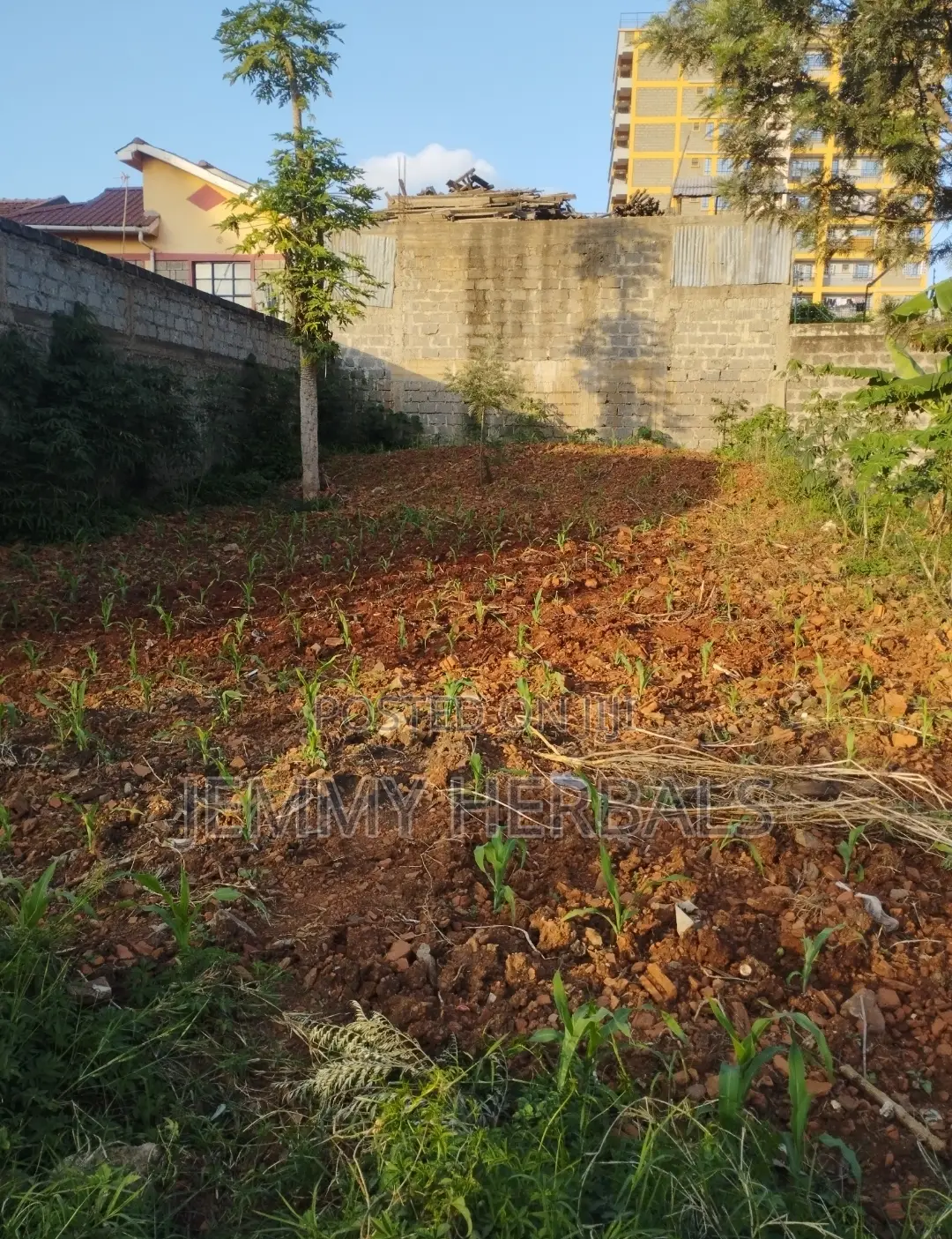 Kasarani Claycity 33by70