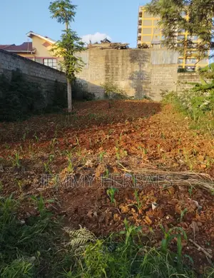 Kasarani Claycity 33by70