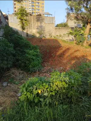 Kasarani Claycity 33by70