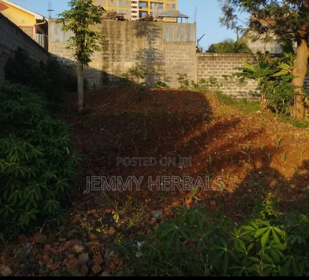 Kasarani Claycity 33by70