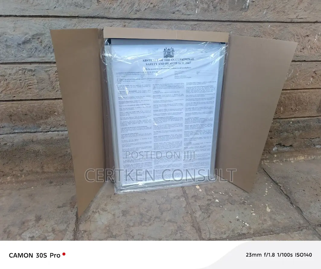 Osha Abstract Framed