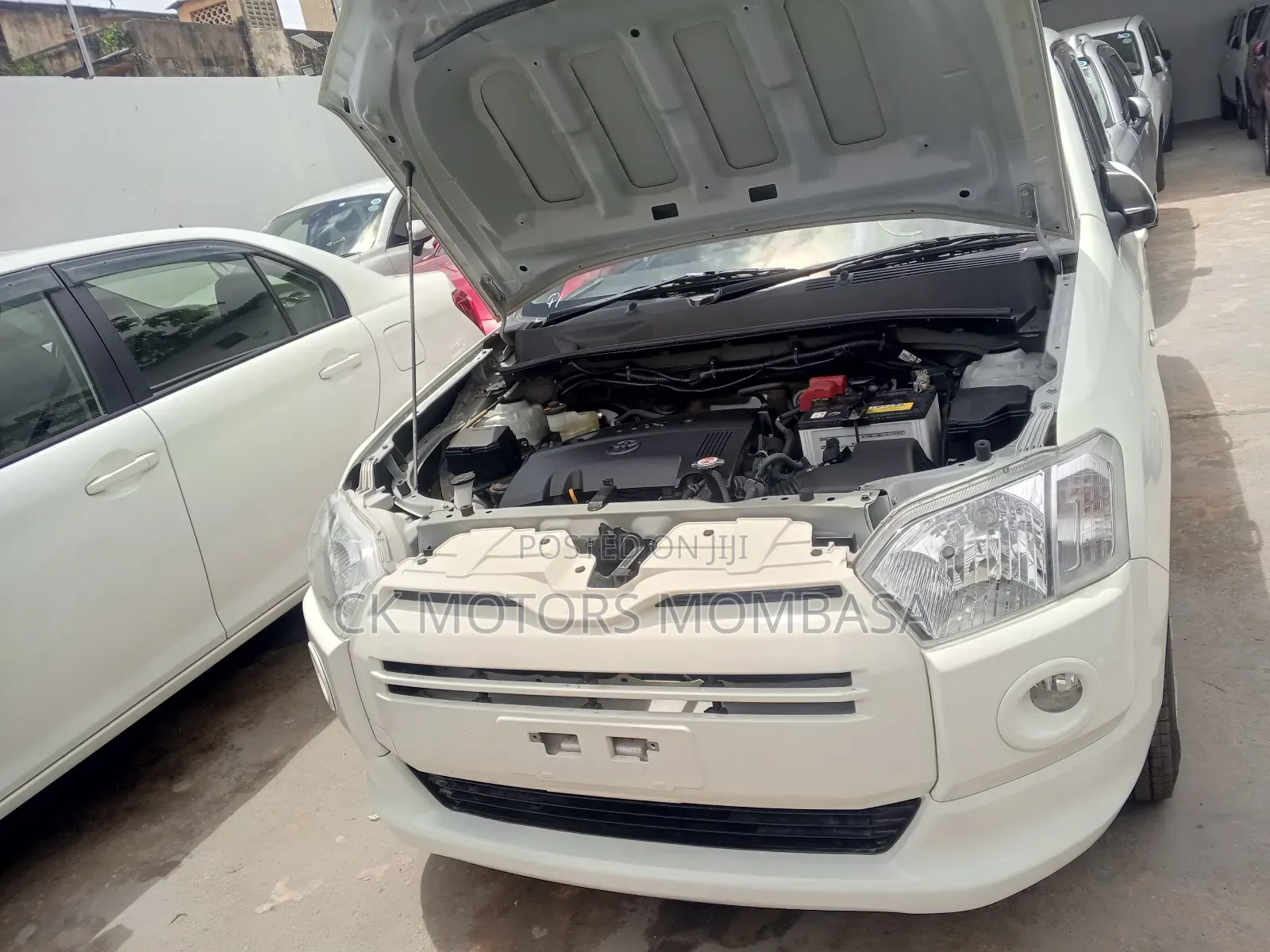 Toyota Succeed 2019 White