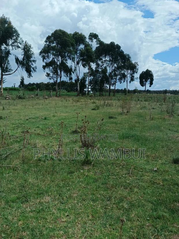 Nyahururu Phase 8 - thumbnail 3