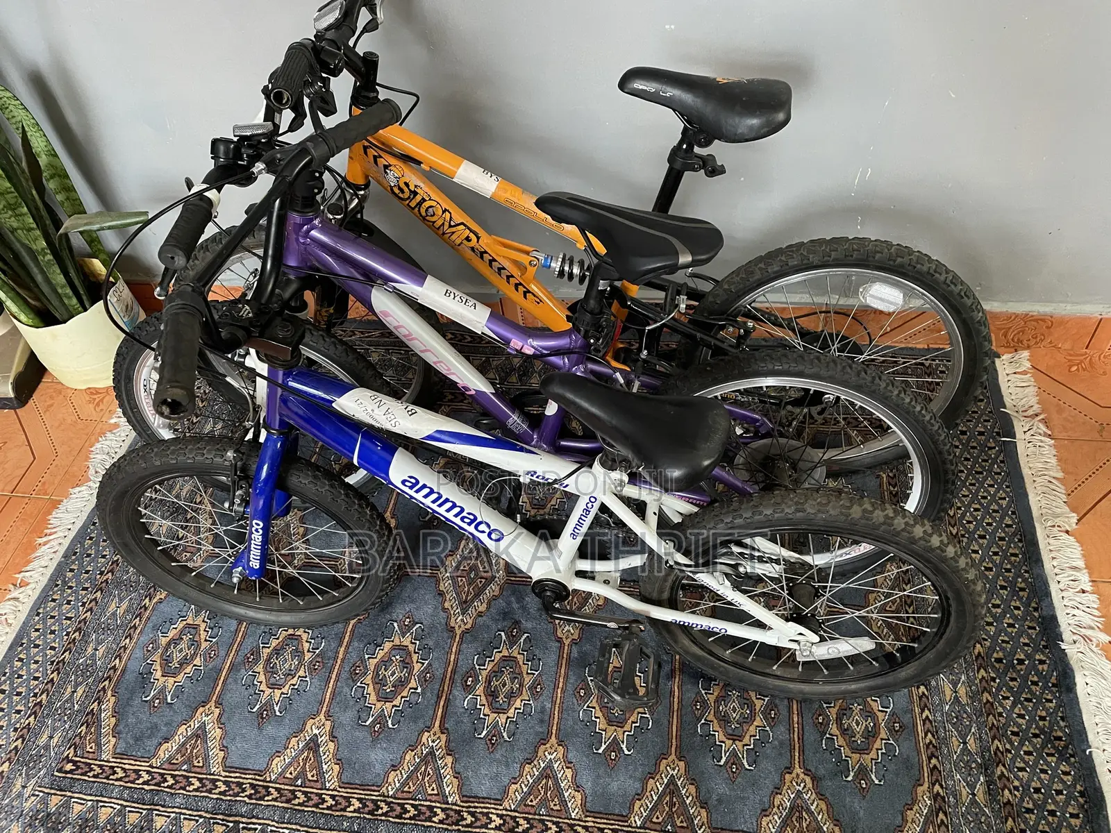 Shimano Equipped Bikes(16,20)