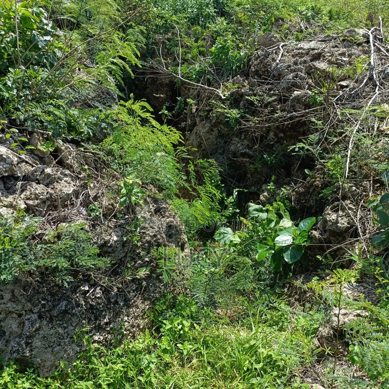 Beachfront Plot