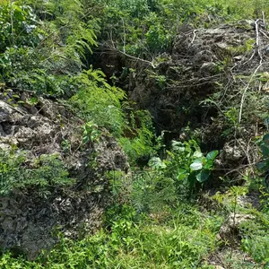 Beachfront Plot