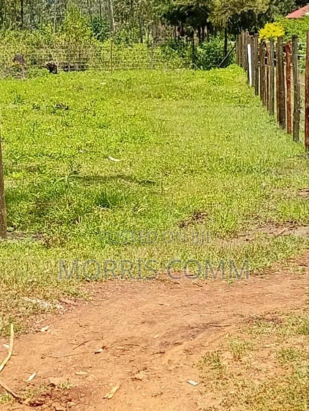 Prime Land for Sale - thumbnail 2